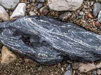 Länglicher schwarzer Stein mit dichten weißen Maserungen